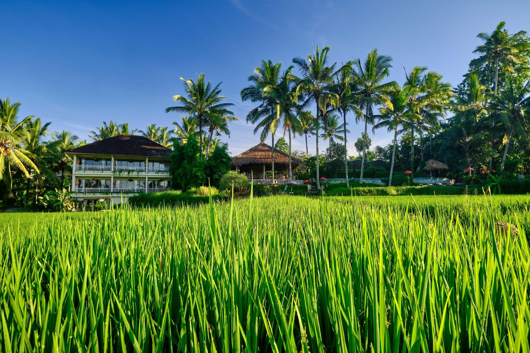 Mathis Retreat Ubud Exterior photo