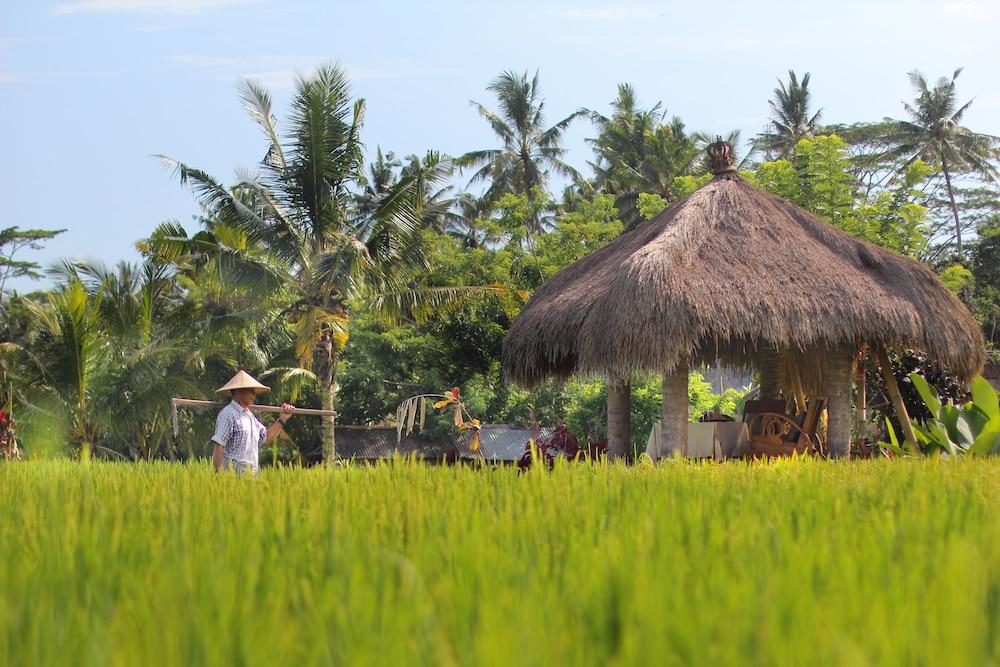 Mathis Retreat Ubud Exterior photo