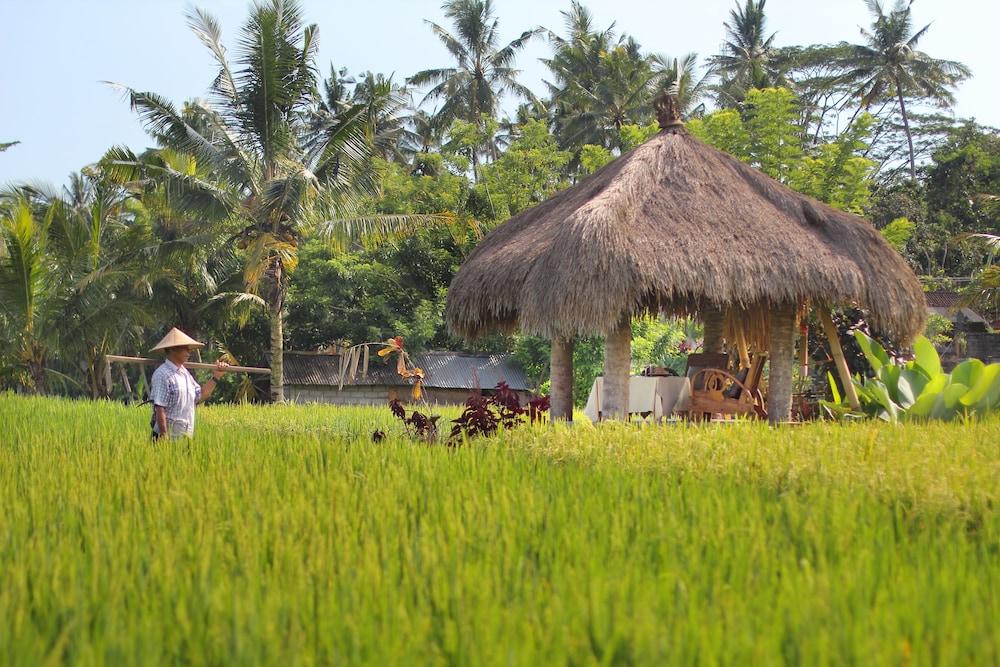 Mathis Retreat Ubud Exterior photo