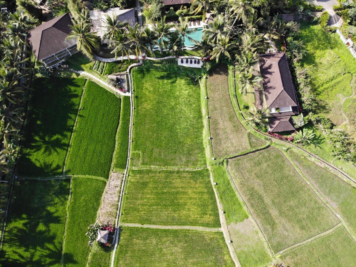 Mathis Retreat Ubud Exterior photo